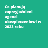 Co planują zaprzyjaźnieni agenci ubezpieczeniowi w 2023 roku